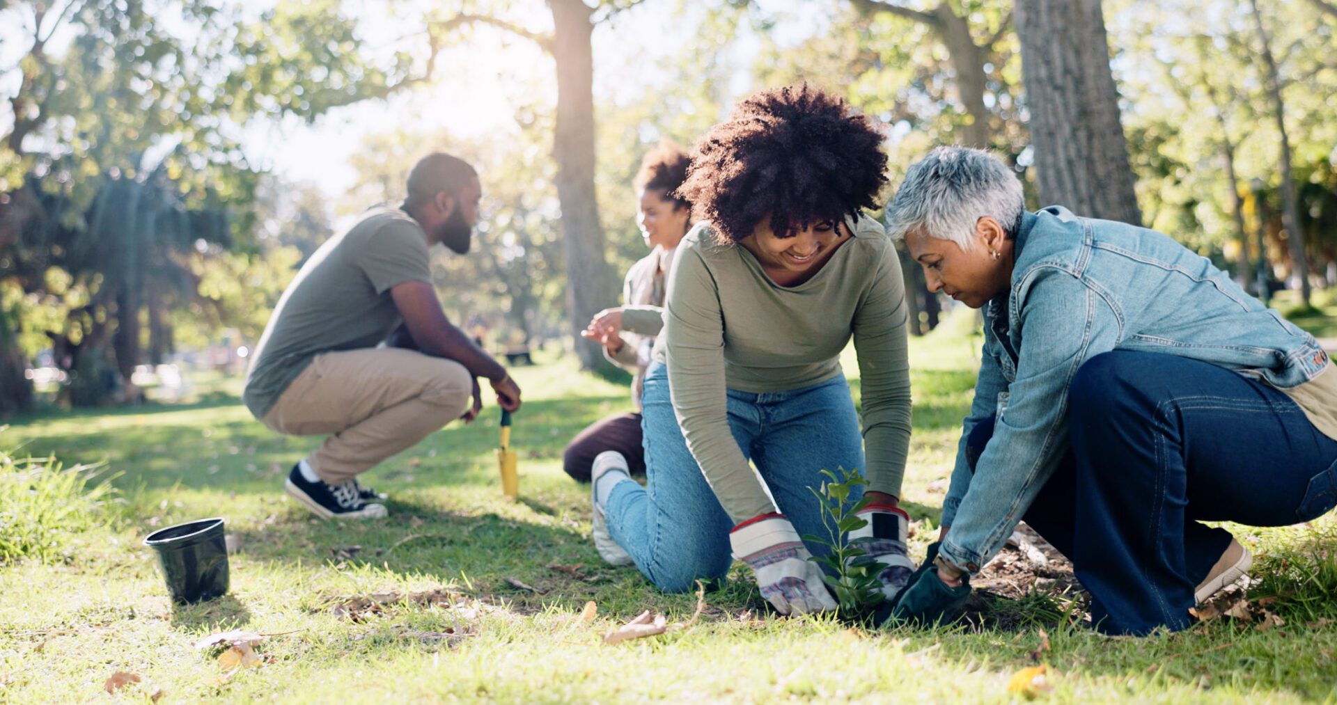 People gardening together in a sunny park.
